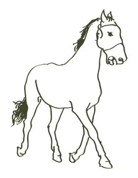 Hand drawn horses Stock Illustration