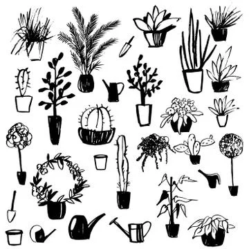 Hand drawn house plants. Vector sketch  illustration. Stock Illustration