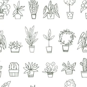 Hand drawn house plants. Vector pattern Stock Illustration