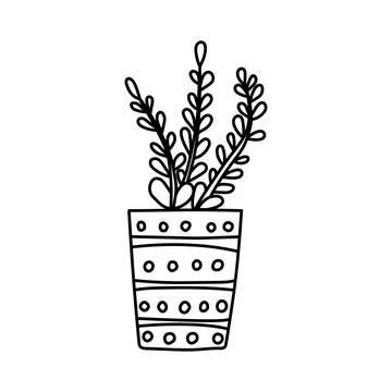 Hand drawn houseplants Stock Illustration