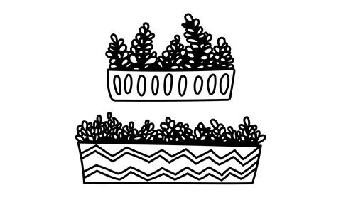 Hand drawn houseplants Stock Illustration
