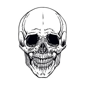 Hand drawn human skull Illustrazione stock