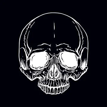Hand drawn human skull Stock-Illustration