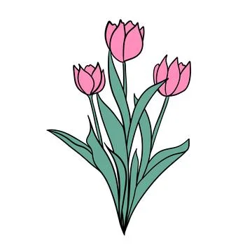 Hand drawn illsutration of two wild flowers rose tulip. Green leaves branch Stock Illustration
