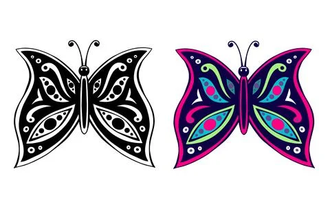 Hand drawn illustrated butterfly vector in black ink Graphic drawing isolat.. Stock Illustration
