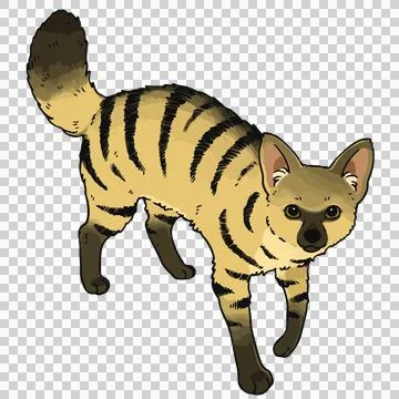 Hand drawn illustration of Aardwolf 库存插图