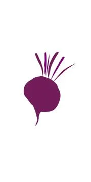 Hand-drawn illustration. Beetroot, often simply called beet. Stock Illustration