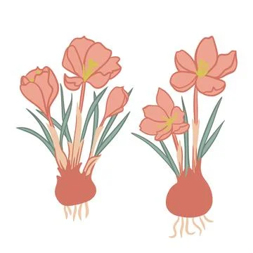 Hand drawn illustration of beige crocus flower with green leaves. Spring forest Stock Illustration