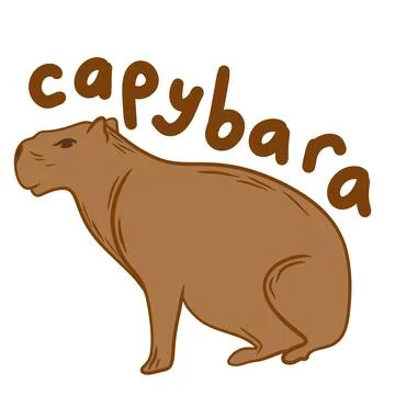 Hand drawn illustration of cute capybara animal in beige brown on white Stock Illustration