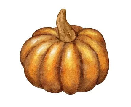 Hand drawn illustration of fall autumn pumpkin in yellow orange. Sticker for Stock Illustration
