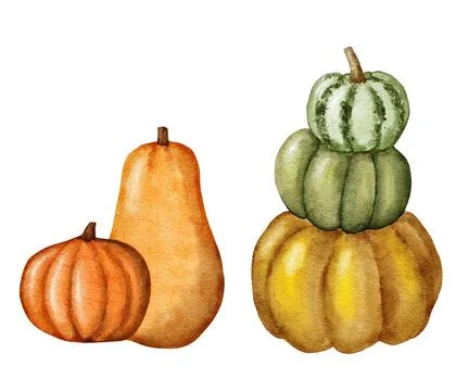 Hand drawn illustration of fall autumn pumpkin in yellow orange. Sticker for Stock Illustration