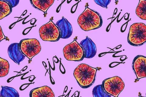 Hand drawn illustration of fig Stock Illustration
