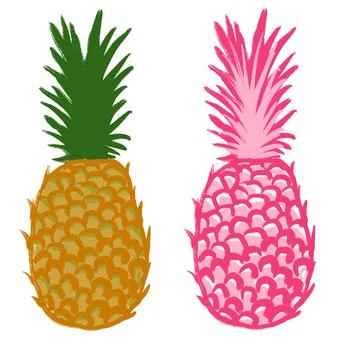 Hand drawn illustration of fruit pineapple, pink yellow green tropical dessert Stock Illustration