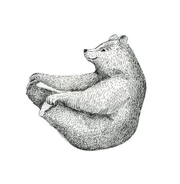 Hand drawn  illustration of fun a bear isolated on vintage backg Stock Illustration