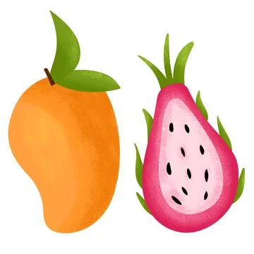 Hand drawn illustration of mango dragon fruit, exotic food, tropical vegetarian Stock Illustration