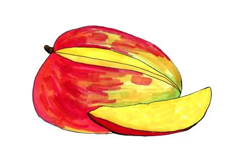 Hand drawn illustration of mango Stock Illustration