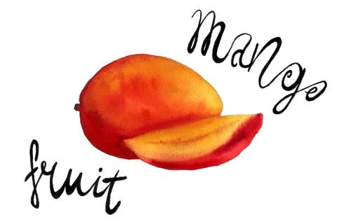 Hand drawn illustration of mango Stock Illustration