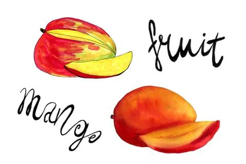 Hand drawn illustration of mango Stock Illustration