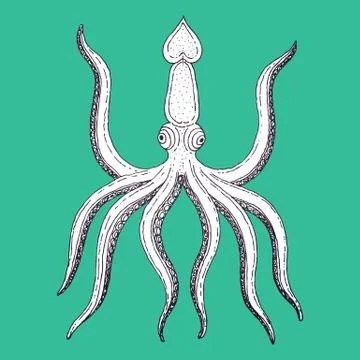 Hand-drawn illustration octopus vector Stock Illustration