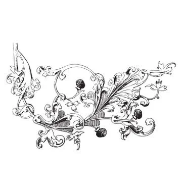 Hand drawn illustration of raspberry branch Baroque vector Stock Illustration