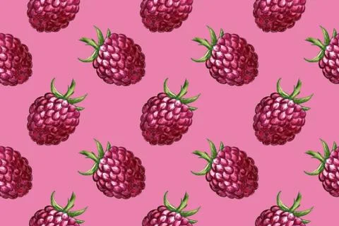 Hand drawn illustration of raspberry Illustrazione stock