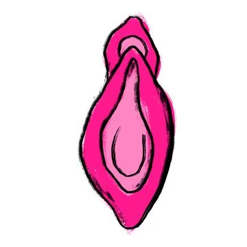 Hand drawn illustration of schematic stylized drawing of vulva vagina. Medical Stock Illustration