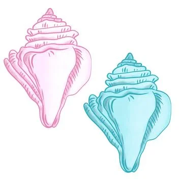 Hand drawn illustration of shells, clam shell in blue turquoise purple colors Stock Illustration