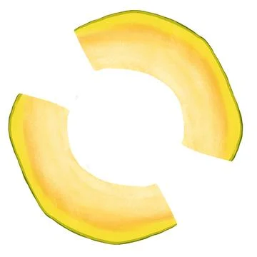 Hand drawn illustration of two melon slice in round circle shape. Yellow green Stock Illustration