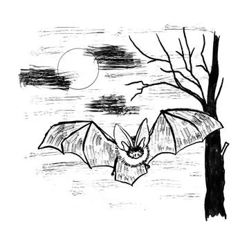 Hand drawn illustration of vampire bat flying in the sky moon tree branches Stock Illustration