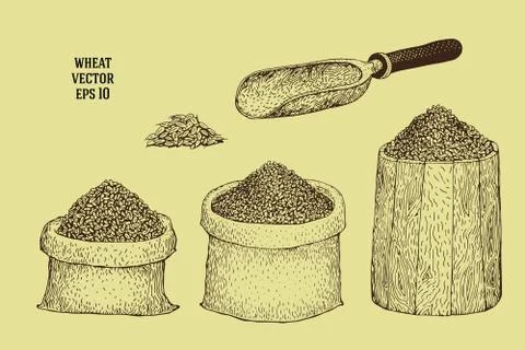 Hand drawn illustrations with wheat grains in sacks and barrels Stock Illustration