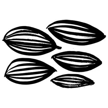 Hand-drawn ink collection Illustrazione stock