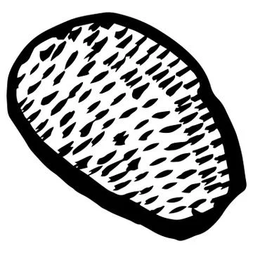 Hand-drawn ink collection Stock Illustration