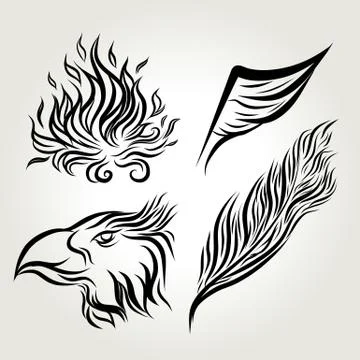 Hand drawn ink Eagle wing feather Stock Illustration