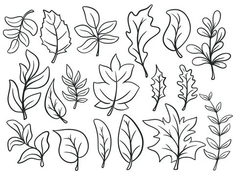 Hand drawn ink leaf set Stock Illustration