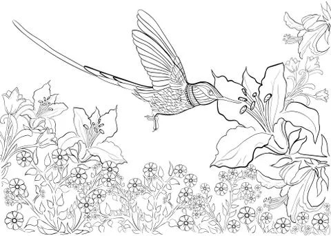 Hand drawn ink pattern. Coloring book for adult Stock Illustration