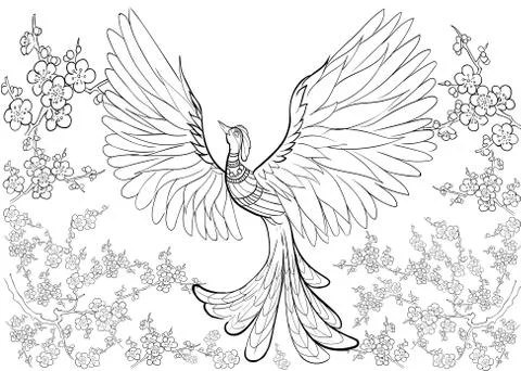 Hand drawn ink pattern. Coloring book for adult Stock Illustration