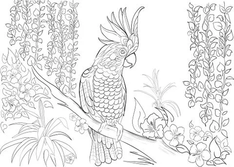 Hand drawn ink pattern. Coloring book for adult Stock Illustration