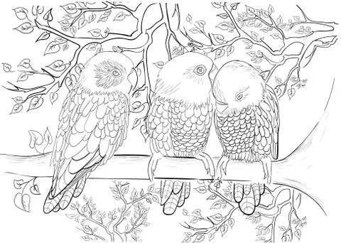 Hand drawn ink pattern. Coloring book for adult Stock Illustration
