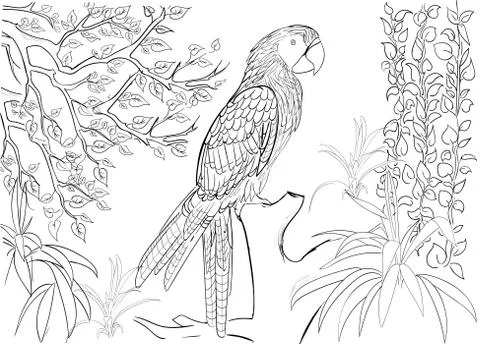 Hand drawn ink pattern. Coloring book for adult Stock Illustration