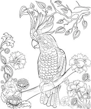 Hand drawn ink pattern. Coloring book for adult Stock Illustration