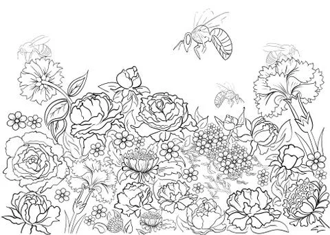 Hand drawn ink pattern. Coloring book for adult Stock Illustration