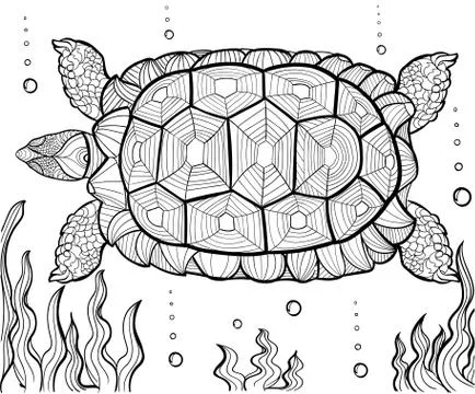 Hand drawn ink pattern. Coloring book for adult Stock Illustration