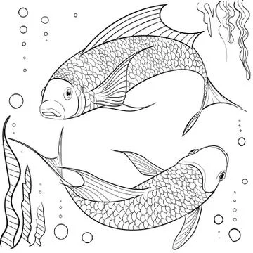Hand drawn ink pattern. Coloring book for adult Stock Illustration