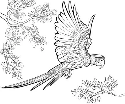 Hand drawn ink pattern. Coloring book for adult Stock Illustration