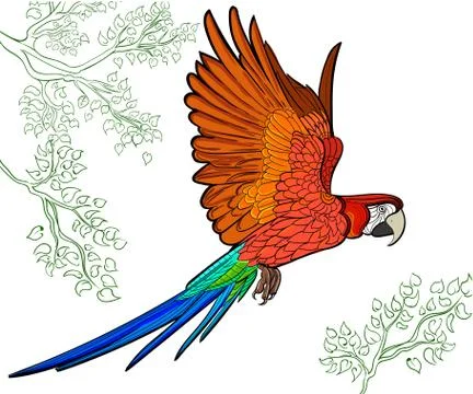 Hand drawn ink pattern. Coloring book for adult Stock Illustration