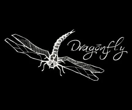 Hand drawn ink vector illustration of dragonfly sketch style iso Stock Illustration