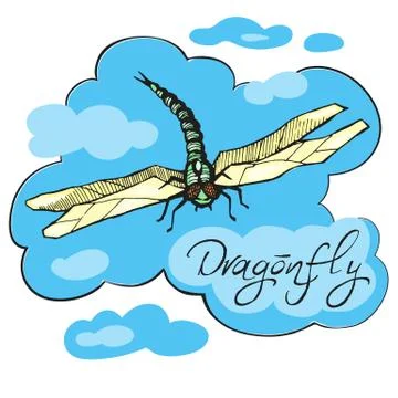 Hand drawn ink vector illustration of dragonfly Stock Illustration