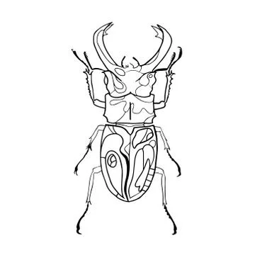 Hand drawn insect vector scribble icon illustration . Stock Illustration