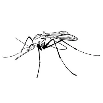 Hand drawn insect vector scribble icon illustration . Illustrazione stock
