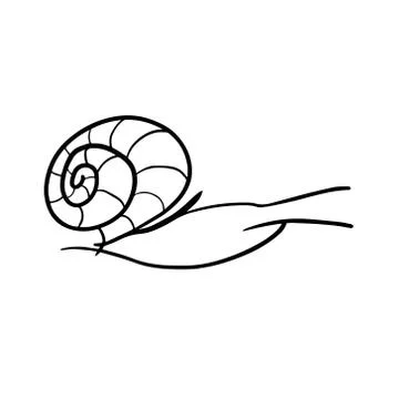 Hand drawn insect vector scribble icon illustration . Illustrazione stock